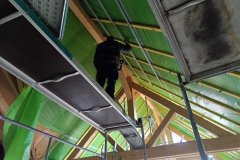 IMG_20231214_113515_907